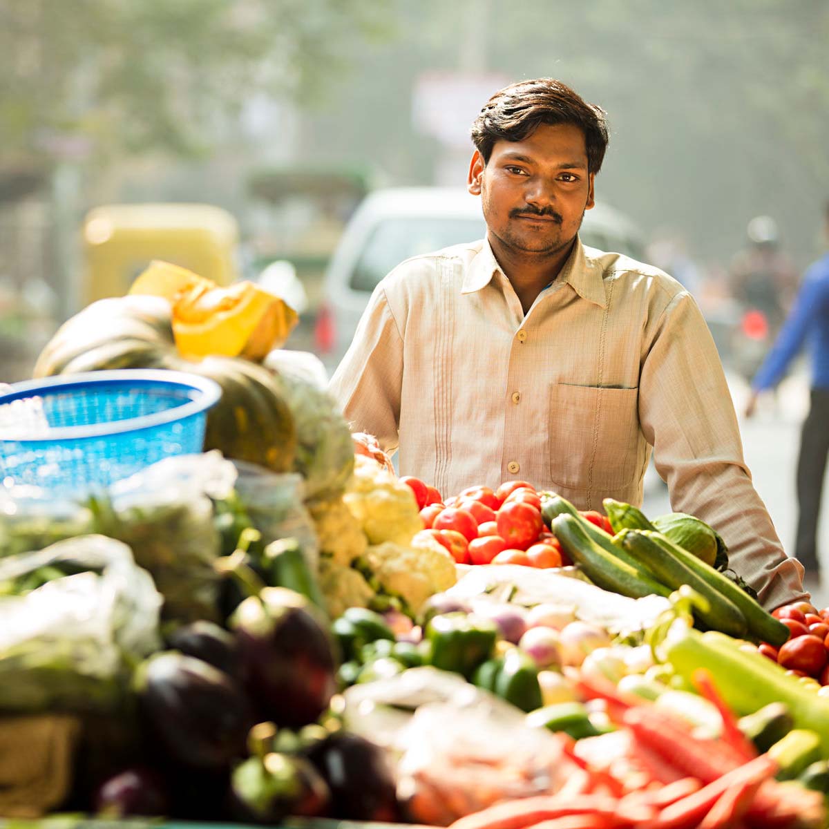  Fresh Vegetables